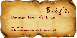 Baumgartner Ábris névjegykártya